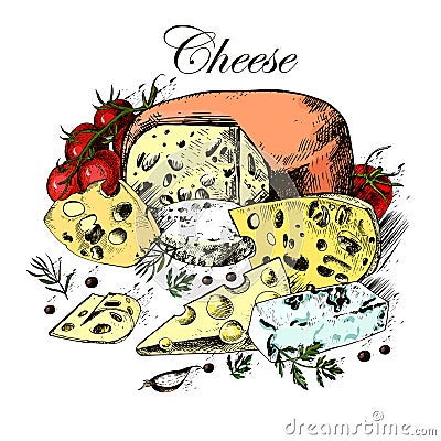 Hand drawing of dairy products, cheese, herbs and Stock Photo