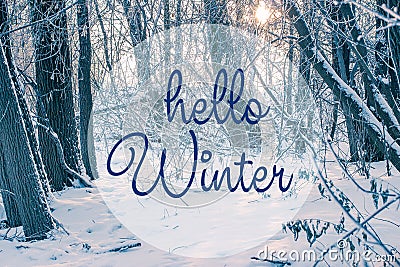 Hand drawing Hello Winter inscription. Winter holiday compositio Stock Photo