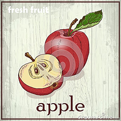 Hand drawing illustration of apple. Fresh fruit sketch background Cartoon Illustration