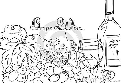 Hand drawing. Illustration of a bottle of wine and a bunch of grapes. Gastronomic card. Vector Illustration