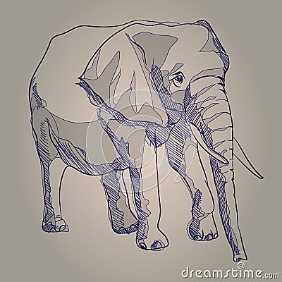 Hand drawing illustration elephant standing Cartoon Illustration