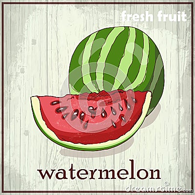 Hand drawing illustration of watermelon. Fresh fruit sketch background Cartoon Illustration