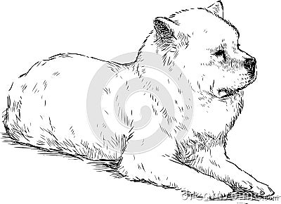 Sketch of lying white guard dog Vector Illustration