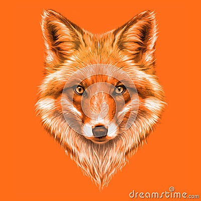 Hand-drawing portrait of a a red Fox Stock Photo