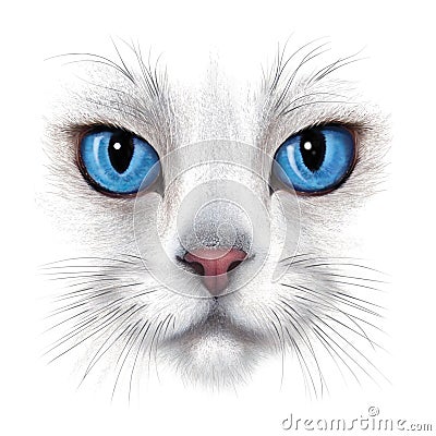 Hand-drawing portrait of white cat Stock Photo