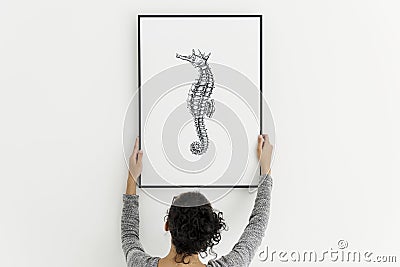 Hand drawing seahorse photo hanging on the wall Stock Photo