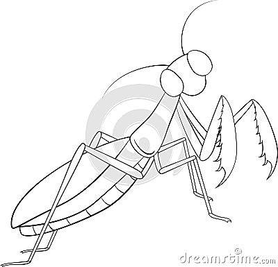 Hand drawing, sketch, mantis on a white background Vector Illustration