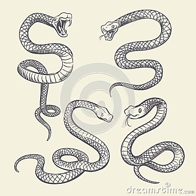 Hand drawing snake set. Wildlife snakes tattoo vector design isolated Vector Illustration