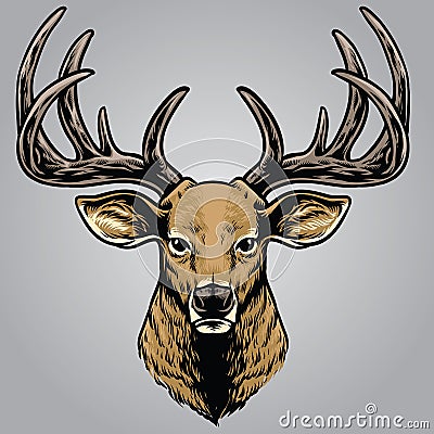 Hand drawing style of deer head Vector Illustration