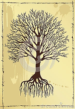 Hand drawing tree with roots Stock Photo