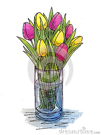 Hand drawing tulips in a glass vase Stock Photo