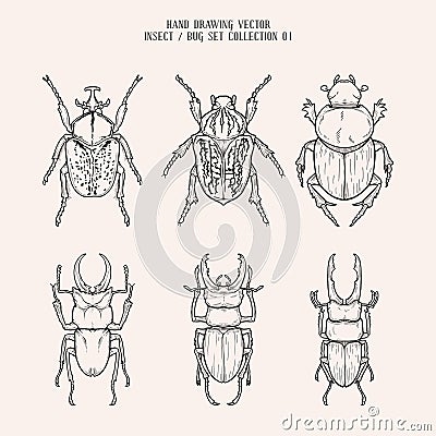 Hand Drawing Vector Insects and Bugs Collection 01 Vector Illustration