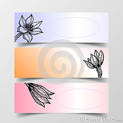 Hand drawn abstract flowers cards, vector drawn Vector Illustration