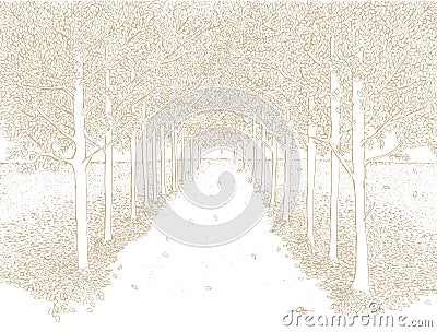 Hand Drawn Abstract Vector Landcape. Straight Park Alley with Trees Running Along Each Side. Vector Illustration