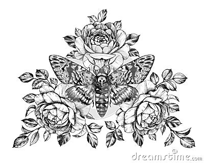 Hand Drawn Acherontia Styx Butterfly and Roses Stock Photo