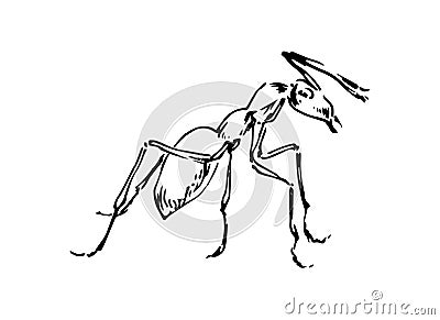 Hand drawn ant insect, stylized pismire painted by ink, emmet sketch vector illustration, black isolated character on white Vector Illustration