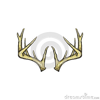 Handrawn antler vector, Hunting logo design inspiration Vector Illustration