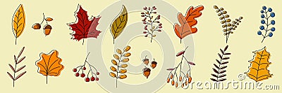 Hand drawn autumn collection with seasonal plants and leaves. Set of hand drawn plants, leaves, flowers. Colorful of natural Vector Illustration