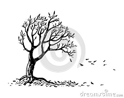 Hand drawn autumn tree silhouette with falling leaves. Vector Illustration