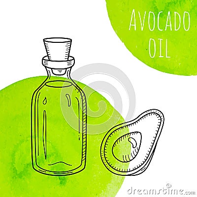 Hand drawn avocado oil bottle with green watercolor spots Vector Illustration