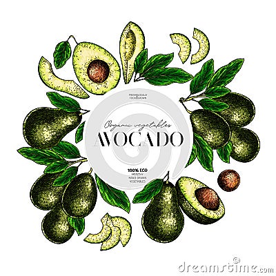 Hand drawn avocado. Vector colored engraved illustration. Whole, slices and branches of vegetable. Food healthy ingredient. For Vector Illustration