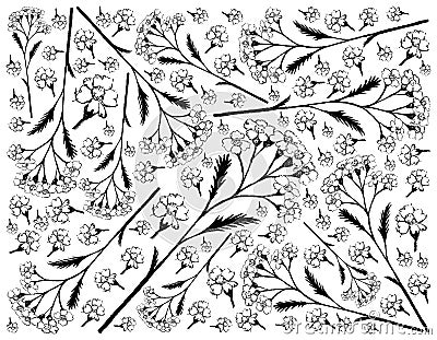 Hand Drawn Background of Achillea Millefolium or Yarrow Plants Vector Illustration