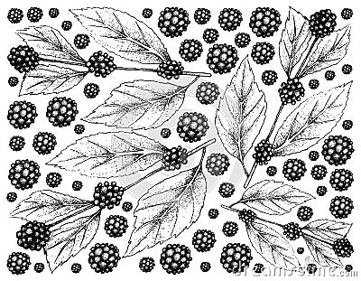 Hand Drawn Background of American Beautyberry Fruits Vector Illustration