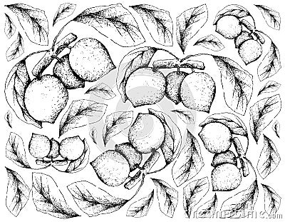 Hand Drawn Background of Bacupari or Garcinia Gardneriana Fruits Vector Illustration