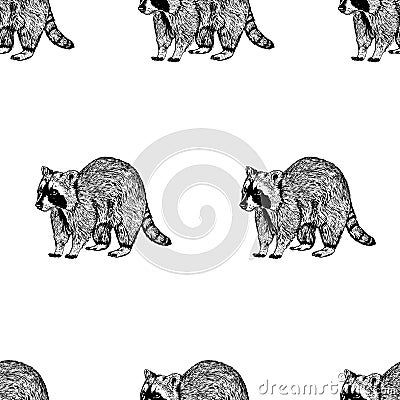 Hand drawn background with raccoon. Vector seamless pattern. Vector Illustration