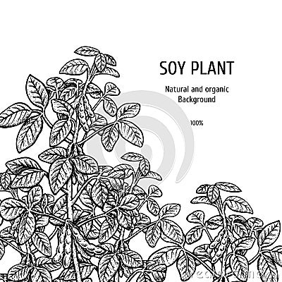 Hand drawn background with soy plant. Vector illustration Vector Illustration