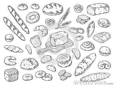 Hand drawn bakery. Doodle bread sketch, wheat flour types of bread, vintage graphic template. Vector bakery bagels and Vector Illustration