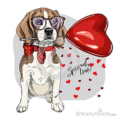 Hand drawn beagle with heart shape baloon. Vector Valentine day greeting card. Cute colorful dog wears glasses and Vector Illustration