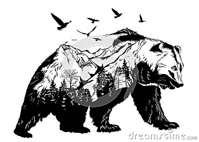 Hand drawn bear, wildlife concept Stock Photo