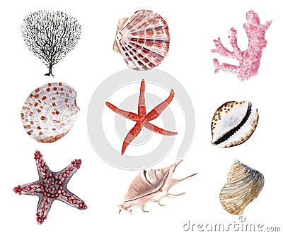 Hand drawn watercolor set of shells and clams isolated Stock Photo