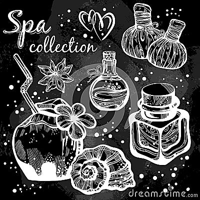 Hand-drawn beautiful spa icons over the blackboard. Vintage chalk. High-detailed spa graphic realistic elements isolated. Vector Illustration