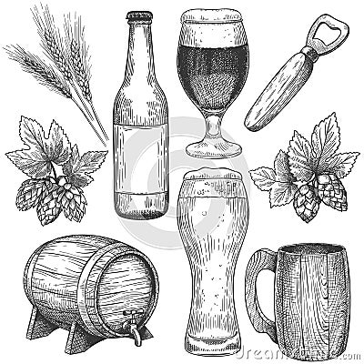 Hand drawn beer. Sketch beer glasses, mugs and barrel, bottle. Hops, malt and barley, objects for pub menu drinks Vector Illustration