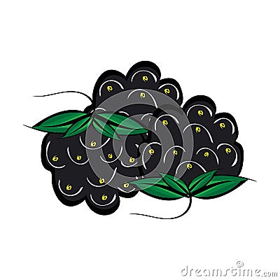 Hand drawn berries closeup. Vector Illustration