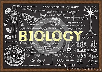 Hand drawn biology on chalkboard. Vector Illustration