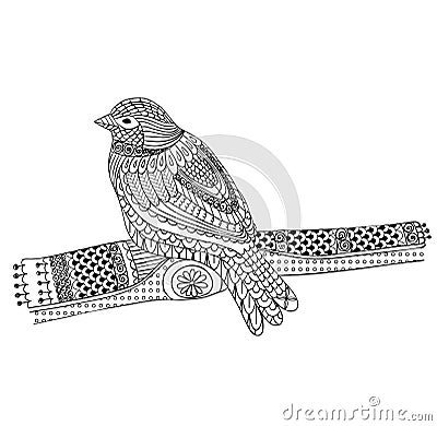 Hand drawn bird Vector Illustration