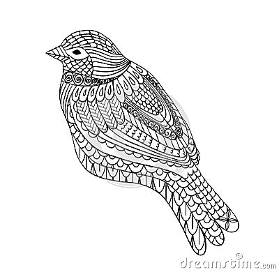 Hand drawn bird Vector Illustration