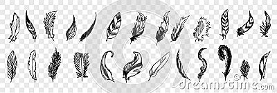 Hand drawn bird feathers doodle set collecton Vector Illustration