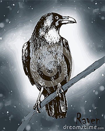 Hand drawn black raven sitting on a branch vector drawing Vector Illustration