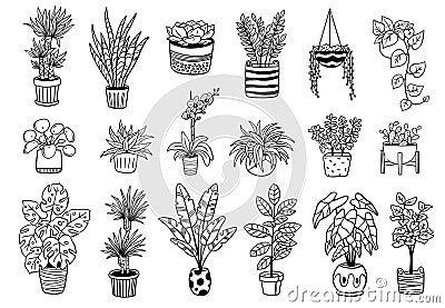 Set of cute Indoor and outdoor plants in pots. Vector Illustration