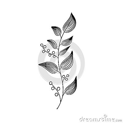 Hand drawn black and white twig with berries. Stock Photo