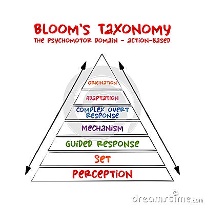 Hand drawn Bloom`s taxonomy The psychomotor domain action-based hierarchical model used to classify educational learning Stock Photo