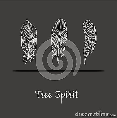 Hand drawn bohemian, tribal, ethnic feathers on chalkboard Vector Illustration