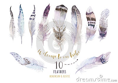 Hand drawn bohemian watercolor paintings vibrant feather set. Bo Cartoon Illustration