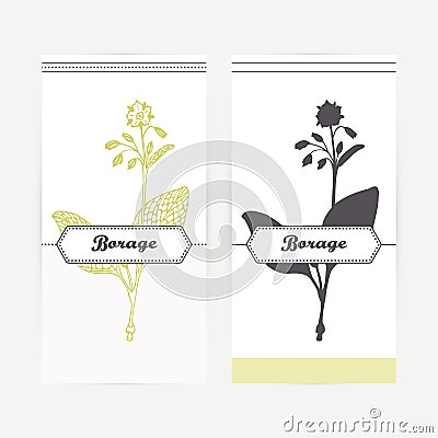 Hand drawn borage in outline and silhouette style. Spicy herbs Vector Illustration