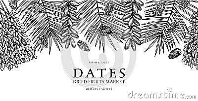 Hand drawn border design with date palm leaves and ripe fruit illustrations. Healthy food ingredients sketches isolated on Vector Illustration