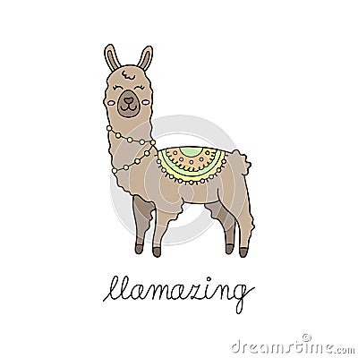 Llama vector hand drawn illustration Vector Illustration